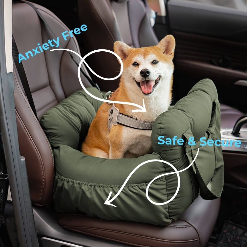 SnugRider Car Seat