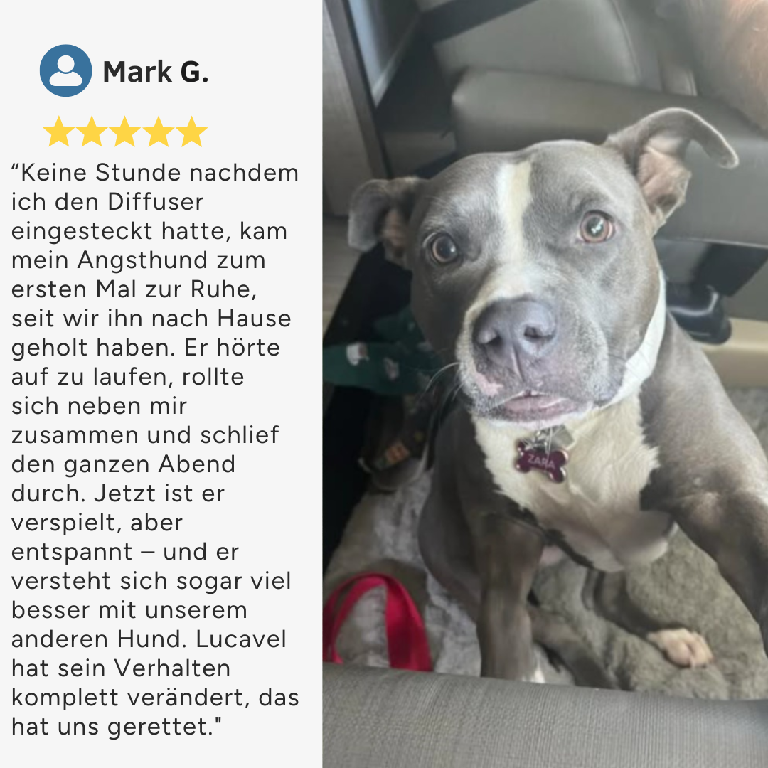 Hunde-Beruhigungs-Diffuser