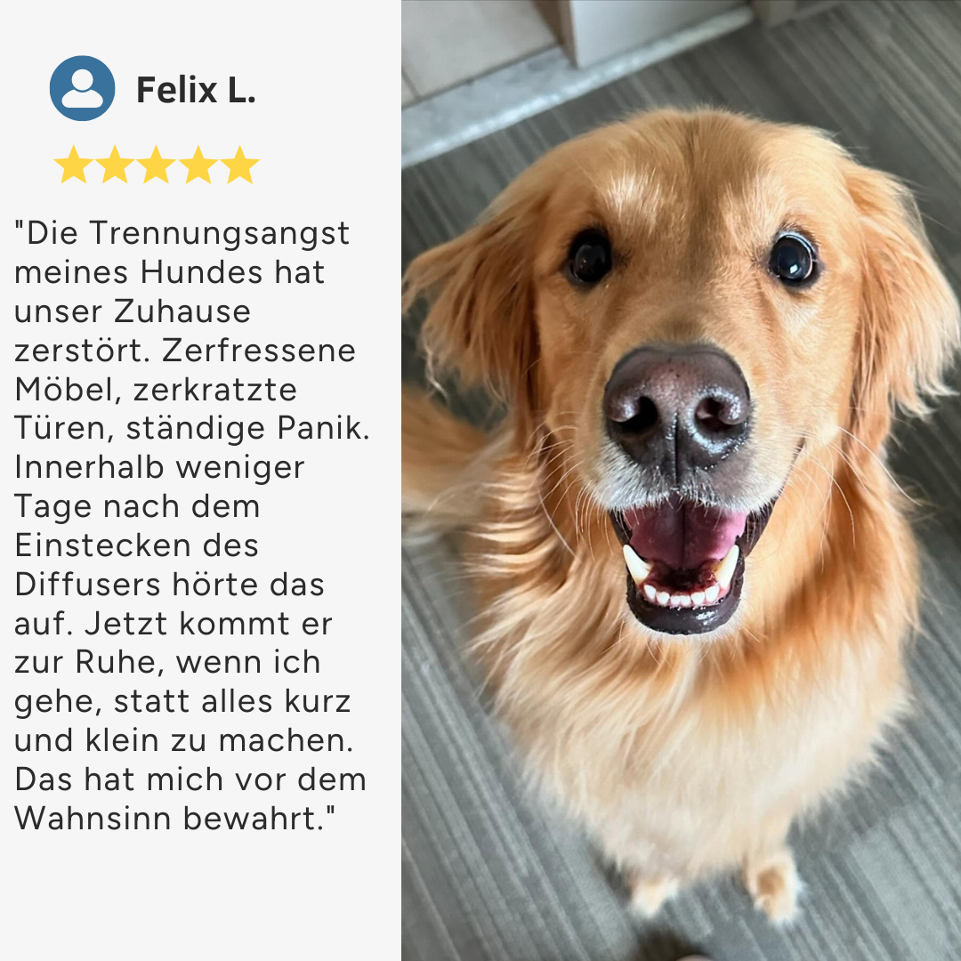 Hunde-Beruhigungs-Diffuser