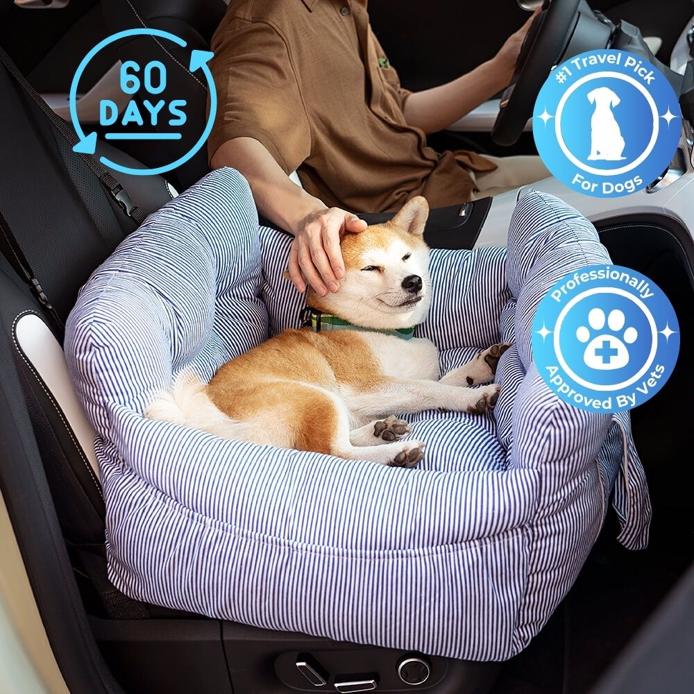 SnugRider Car Seat