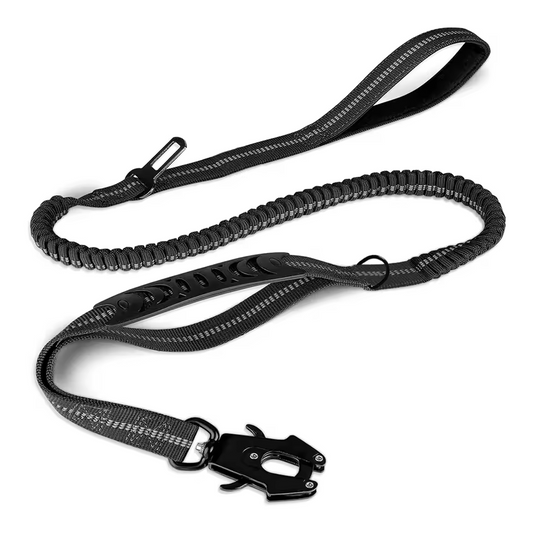 2-in-1 Assist Leash